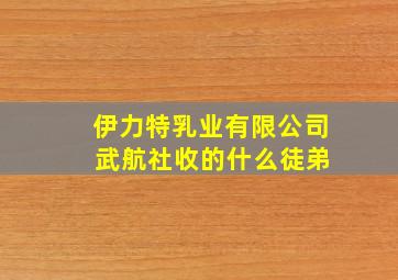 伊力特乳业有限公司 武航社收的什么徒弟